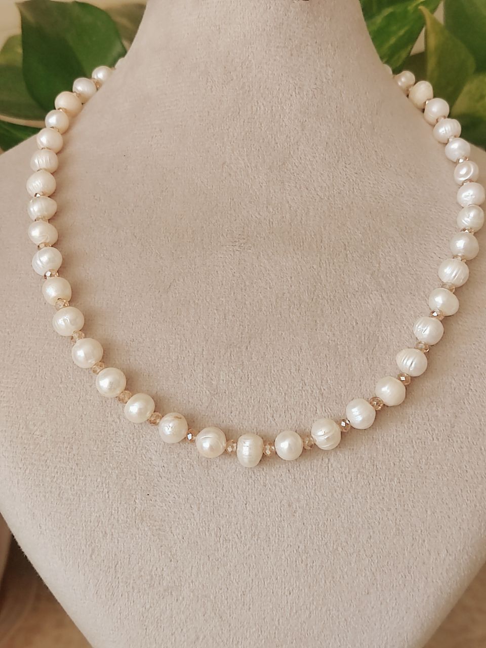 گردنبند مروارید پرورشی اصل